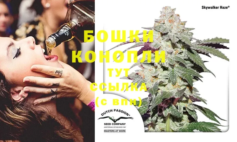 omg вход  Магадан  Канабис SATIVA & INDICA  где купить наркоту 